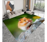 Tapis lavable 180 x 240 cm pour chambre d'enfant, coureur antidérapant photographie de nature pour chambre - tapis imprimé animal hamster portrait forêt rochers à poils courts pour salon salle manger