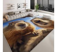 Tapis Lavable 60 x 90 cm pour Chambre d'enfant, Coureur Antidérapant Désert Animal Cochon D'Inde Ciel Bleu pour Chambre - Tapis Imprimé à Poils Courts Art Moderne pour Salon Salle à Manger Bureau