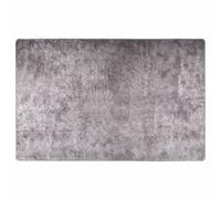Tapis Lavable 80x150 cm Gris Moquette Paillasson Couloir vidaXL