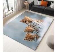 Tapis Lavable antidérapant Animaux Trois léopards de l’Amour 60 x 90 cm, Tapis Moquette de Chambre à Poils Ras Paillasson Intérieur pour Salon Chambre d'enfant Salle à Manger - Multicolore