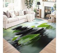 Tapis Lavable, antidérapant, Minimalisme Naturel Tapis ne perd Pas Ses Poils, 120 x 170 cm léger et résistant décoloration, pour Couloir, entrée, Salon, Noir Cailloux Feuilles