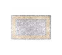 Tapis Lavable Antidérapant Moquette d'Entrée Tapis de Sol Paillasson de Sol Tapis d'Entrée Moquette de Couloir 160x230 cm Gris