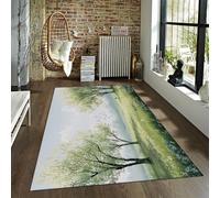 Tapis Lavable intérieur extérieur Printemps Vivid Plante Arbre Pelouse Tapis Imprimé Pliable antidérapant à Poils Ras pour Balcon de Camping 60x90cm