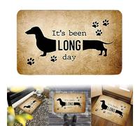 Tapis lavable It's Been A Long Day Dogs Welcome - 43,2 x 76,2 cm - Paillasson de bienvenue pour chien, tapis d'intérieur pour femme (kaki, 60 x 40 cm)