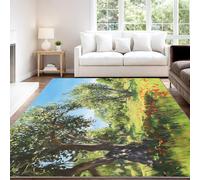 Tapis Lavable Peinture à l'huile Paisible Apaisant Champêtre Vert Nature Forêt Prairie, 40 x 60 cm Tapis Moquette de Chambre à Poils Ras, Paillasson Intérieur pour Salon et chambre à coucher