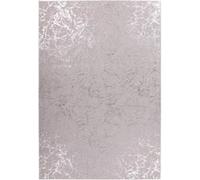 Tapis Marbré à Poils Longs Bijou Taupe & Argent 200 x 290 cm Taupe https://www.fnac.com/mp44942029/Paris-Prix-Tapis-Marbre-a-Poils-Longs-bijou-Taupe-et-Argent-200-X-290-Cm/w-4?oref=10f2324b-8173-92fe-d5b5-afbd3bae99dc