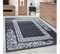 Tapis moderne gris à cadre méandre grec et arabesques baroques en contraste blanc 12 mm - 200 x 290 cm
