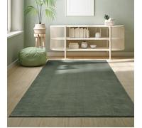 the carpet Relax Tapis Moderne à Poils Courts et Moelleux, Dessous antidérapant, Lavable à 30 degrés, Super Doux, Aspect Fourrure, Vert foncé, 240 x 340 cm
