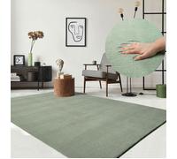the carpet Relax Tapis Moelleux à Poils Courts, Dessous antidérapant, Lavable à 30 degrés, Super Doux, Aspect Fourrure, Vert, 160 x 220 cm