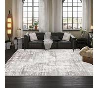 Tapis nordique à poils courts pour la décoration du salon et de la chambre, lavable, grand format, tapis de sol, décoration de pièce, tapis de salon (100 x 160 cm, 39,4 x 63 pouces, poils courts