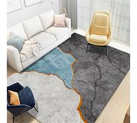 Tapis nordique en velours cristal moderne pour salon et chambre à coucher, tapis de table central simple, tapis de sol élégant pour bureau, 100 x 200 cm