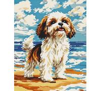 Tapis Noué A Faire Animal Shih Tzu Au Bord De La Merkits De Tapis À Crochet À Loquet À Faire Soi-Même Pour Adultes,Grand Kit De Fabrication De Tapis Pour Débutants,Ensemble De Tricot De 35x46in