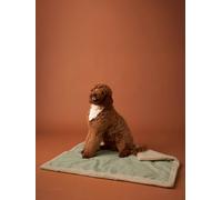 Tapis / plaid nomade pour chien rayé vert TU