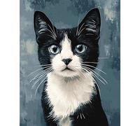 Tapis Point Noué À Faire Chat Noir Et Blanctapis De Coussin À Broder Diy，Kits De Crochet À Loquet Ensemble De Tapis Au Crochet Avec Pré-Impression Pour Débutants Et Adultes Kit De Tapisse 52x38cm