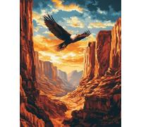 Tapis Point Noué À Faire Paysage Flying Eagle Grand Tapis À Loquet,Motif Pré-Imprimé Tapisserie En Toile Broderie Adultes Artisanat Bricolage Artisanat Croix Kits De Points De Suture 21x29in