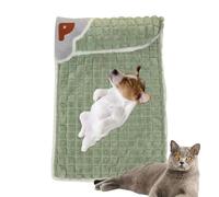 Tapis pour animaux de compagnie - Grand tapis de cage lavable, lit pour chien | antidérapant et doux en peluche - Tapis de lit universel pour la maison, les chiens, les chats, les chenils, les chiots