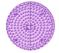 Tapis pour la relaxation des pieds, coussinet de points de pression pour | les pieds | Tapis de massage des de point de pression,2X coussinets de points de, planche d'orteils, planc