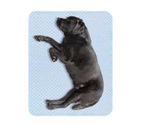 Tapis rafraîchissant pour Animal de Compagnie, lit de Couleur Bleue, Lavable, Portable, Design Non Toxique, Couche de Tissu Doux Respirant pour Chiens Chats, Sol de Maison, Voyage Plein air