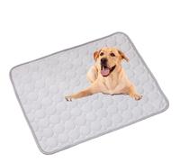 Tapis rafraîchissant pour animaux de compagnie pour chiens et chats, tapis auto-refroidissant, portable et lavable, gel non toxique ou soie glacée, lit pliable pour maison, voyage, camping, été 2025