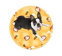 Tapis rafraîchissant pour chats - Tapis de glace pour animal domestique | Lit rond rafraîchissant pour chats en été | Coussin rond imperméable portable pour petits animaux à l'intérieur pendant la