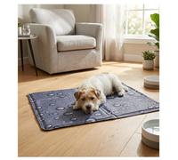 Tapis rafraîchissant pour chien 40 x 50 cm Fresk gris