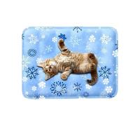 Tapis rafraîchissant pour chien, bloc réfrigérant pour chien | Tapis d'eau confortable anti-rayures pour chien | Coussin haute densité pour chiot dormir jouer
