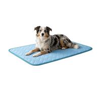 Tapis Rafraîchissant pour Chien et Chat, 150x100cm Tapis de Refroidissement en Soie Glacée Lavable en Machine, Couverture Rafraîchissante Respirante pour Cage, Canapé, Siège de Voiture et Sol