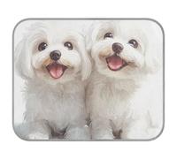 Tapis rafraîchissant pour chien maltais mignon Happy Summer - Lit auto-rafraîchissant pour intérieur - Pour chien - Confortable - Tapette rafraîchissante pour chien - Taille M