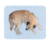 Tapis Rafraîchissant pour Chien | Tapis Rafraîchissant Lavable Facilement pour Chien | Couverture de Panier Portable Lavable Facilement Chiots Chats Compagnons Poilus Maison Extérieur Intérieur