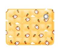 Tapis Rafraîchissant pour Chiens - Lit Froid Dormir pour Chien, Coussin Auto-RefroidissantLit d'été pour Animaux de Compagnie Chats pour Chiens, Coussin de Chenil Imperméable, Animaux de Compagnie