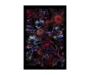 Tapis rectangulaire Fool’s Paradise 300x400cm