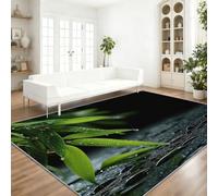 Tapis résistant, Nature Oriental, 60 x 90 cm | Gouttes D'Eau Feuilles De Bambou Surface De L'Eau Imprimé Polyester Doux Tapis pour Balcon terrasse Chambre Cuisine Salon