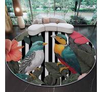 Tapis Rond 100 cm (Round) Lavable Antidérapant Dessins animés Oiseaux Plantes, Tapis Doux Salon Chambre Moquette Courte Facile d’Entretien Multicolore