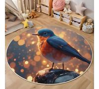 Tapis Rond 160cm, Photographie D'Animaux De Rêve Lavable Antidérapant Pliable Couleur Orange Tapis, Doux et Moelleux Oiseaux Rochers Imprimé Carpette pour Salon Chambre Chambre d'enfant Salle à Manger