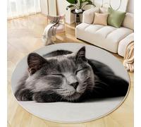 Tapis Rond, Chat Gris, 100 Cm, Antidérapant, Lavable, À Poils Courts, pour Entrée, Intérieur, Chambre À Coucher, Chambre d'enfant, Buanderie, Photographier des Animaux Gris Clair