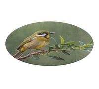 Tapis rond doux et absorbant pour extérieur, motif oiseaux et fleurs, vert olive, antidérapant, 80 x 80 cm, pour chambre à coucher, salon, décoration d'intérieur