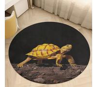 Tapis rond en velours de corail de 0,6 m avec envers antidérapant, tapis de salle de bain, peluche absorbante et absorbante - Tapis circulaire à poils courts de 0,6 cm - Tapis de marche motif tortue