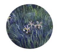 Tapis Rond impressionnisme Art Photo Peinture botanique Floral Fleurs Iris Fleurs Violettes Lavable Poil Ras Flanelle Douce antidérapant Tapis Salon Chambre carpette 200x200cm