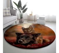 Tapis Rond Orange Noir Animaux Tapis Exterieur Rond pour Jardin Terrasse Intérieur Salon Chambre Antidérapant Court en Peluche Doux Lavable en Machine 100 cm