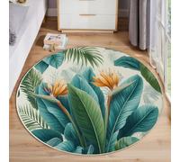 Tapis Rond pour Salon Plantes Peintes À La Main Moderne Moelleux Tapis à Poils Courts Illustration D'Oiseau Paradis, Dessous antidérapant, Lavable pour Chambre, et Chambre d'enfant, 200cm, Vert