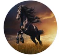 Tapis Rond Prairies à Chevaux au crépuscule Tapis de Chambre 120 cm (Round) Adulte Doux Machine pour Salon Antidérapant Imprimé pour Salle à Manger, Chambre d’Enfant Or Noir