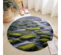 Tapis Rond Salon, Rive Rochers Mousse Tapis de Sol Décoration Antidérapant pour Chambre Cuisine Balcon Terrasse Salon Salle à Manger Intérieur Extérieur (100 cm, Gris Vert)