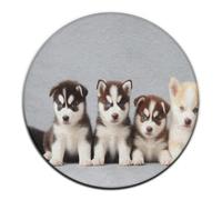 Tapis Rond Tendance, Tapis Circulaire Lavable pour canapé, Chambre à Coucher, Maison, Chiots Husky de Sibérie, Tapis Husky,