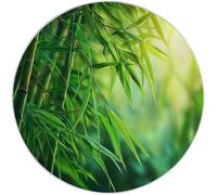 Tapis Rond Vert 80 cm, Tapis à Poils Courts Lavable Rond Antidérapant et Doux, Design Nature Plantes Forêt De Bambous Soleil Tapis pour Salon Chambre Cuisine et Chambre d'enfant