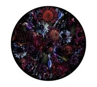 Tapis ronde Fool's Paradise Ø350cm