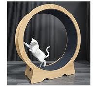 Tapis Roulant pour Animaux de Compagnie de Petite/Moyenne/Grande Taille, Roue de Course avec Frein, Piste en moquette remplaçable