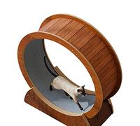 Tapis Roulant pour Animaux de Compagnie pour Chats de Petite/Moyenne/Grande Taille, Roue de Course avec Frein, Piste recouverte de moquette (110x30x117cm)