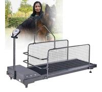 Tapis Roulant pour Chien pour La Santé Et La Forme Physique des Animaux De Compagnie, Dog Pacer, avec éCran LCD, Vitesse 0,8-12 Km/H, 2,0 HP pour L'EntraîNement des Chiens, Jusqu'à 220 LB