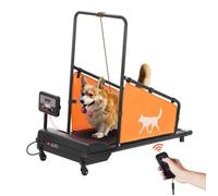 Tapis Roulant Pour Chiens De Taille Moyenne-Duoku-Capacité De 90 Kg-Machine De Course Électrique Pour Chien Avec 3 Rampes Multicolore