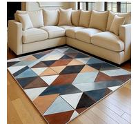 Tapis Salon 120 x 180 cm Motifs géométriques Abstraits Flanelle Imitation Bois Doux Brun Clair Antidérapant, Grand Tapis Salon Entrée Balcon Couloir Chambre